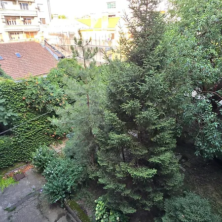 Azzurro Belgrado